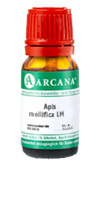 APIS MELLIFICA LM 13 Dilution