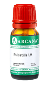 PULSATILLA LM 2 Dilution