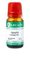 AGRAPHIS NUTANS LM 9 Dilution