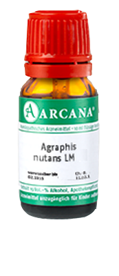 AGRAPHIS NUTANS LM 15 Dilution