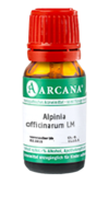 ALPINIA OFFICINARUM LM 4 Dilution