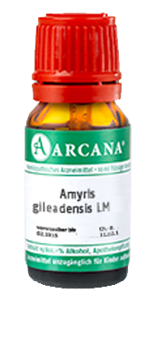 AMYRIS gileadensis LM 19 Dilution