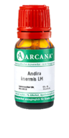 ANDIRA inermis LM 12 Dilution