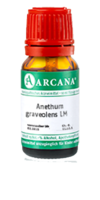 ANETHUM graveolens LM 60 Dilution